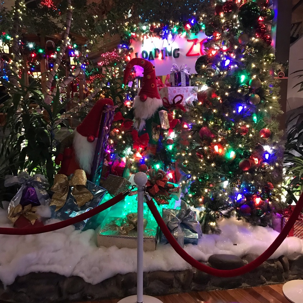 Meet your Posher, Rubie